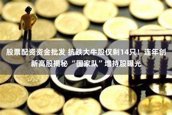 股票配资资金批发 抗跌大牛股仅剩14只！连年创新高股揭秘 “国家队”增持股曝光