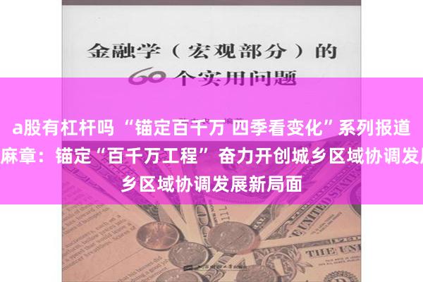 a股有杠杆吗 “锚定百千万 四季看变化”系列报道④ | 湛江麻章：锚定“百千万工程” 奋力开创城乡区域协调发展新局面