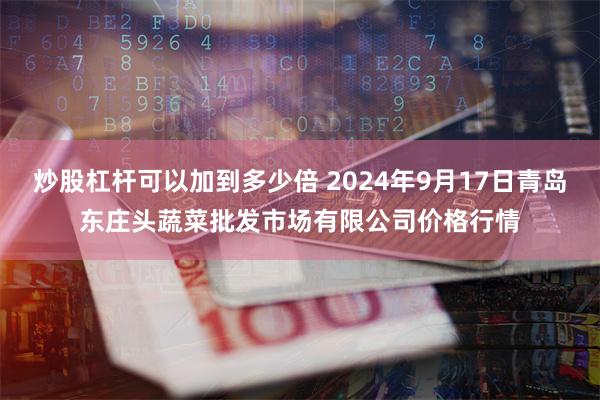 炒股杠杆可以加到多少倍 2024年9月17日青岛东庄头蔬菜批发市场有限公司价格行情