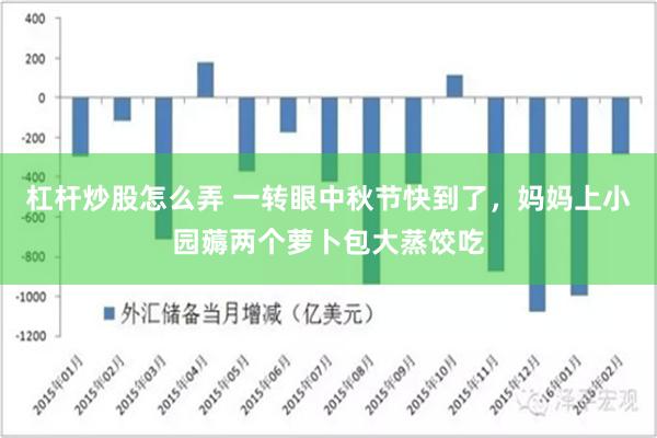 杠杆炒股怎么弄 一转眼中秋节快到了，妈妈上小园薅两个萝卜包大蒸饺吃