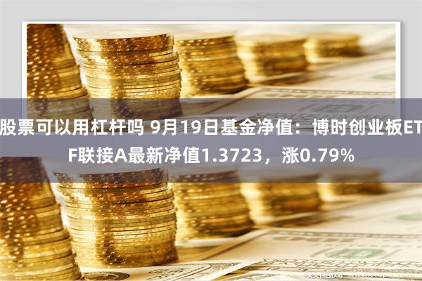 股票可以用杠杆吗 9月19日基金净值：博时创业板ETF联接A最新净值1.3723，涨0.79%