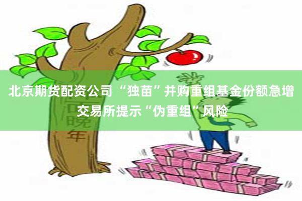 北京期货配资公司 “独苗”并购重组基金份额急增 交易所提示“伪重组”风险