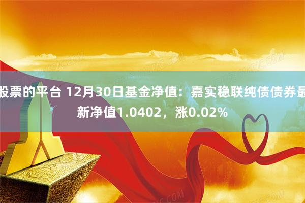 股票的平台 12月30日基金净值：嘉实稳联纯债债券最新净值1.0402，涨0.02%