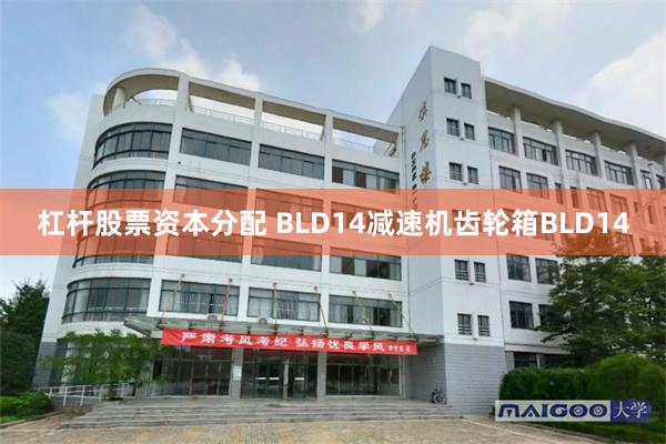 杠杆股票资本分配 BLD14减速机齿轮箱BLD14