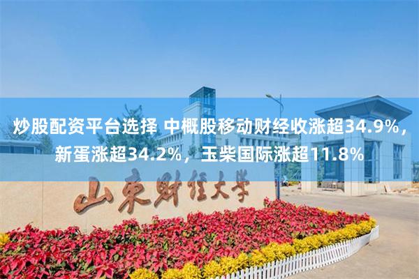 炒股配资平台选择 中概股移动财经收涨超34.9%，新蛋涨超34.2%，玉柴国际涨超11.8%